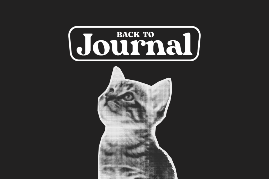 Immagine scura con il logo bianco ufficiale di backtojournal il blog sul journaling di riferimento in Italia - Immagine di un gattino in bianco e nero che guarda verso l'alto.